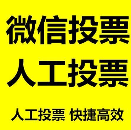 攀枝花市投票活动拉票能被查出来吗？如何操作能不被发现？